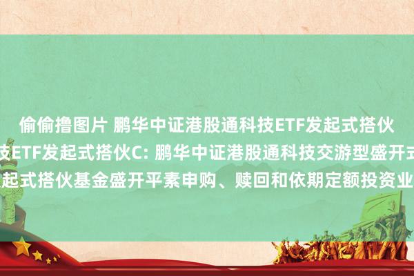 偷偷撸图片 鹏华中证港股通科技ETF发起式搭伙A，鹏华中证港股通科技ETF发起式搭伙C: 鹏华中证港股通科技交游型盛开式指数证券投资基金发起式搭伙基金盛开平素申购、赎回和依期定额投资业务及调养单笔最低赎回份额和账户最低份额余额戒指的公告