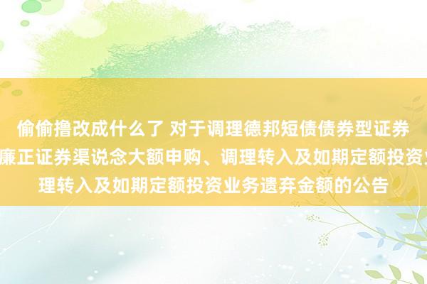 偷偷撸改成什么了 对于调理德邦短债债券型证券投资基金C类份额在廉正证券渠说念大额申购、调理转入及如期定额投资业务遗弃金额的公告