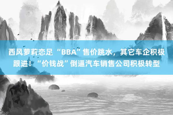 西风萝莉恋足 “BBA”售价跳水，其它车企积极跟进！“价钱战”倒逼汽车销售公司积极转型