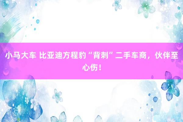 小马大车 比亚迪方程豹“背刺”二手车商，伙伴至心伤！