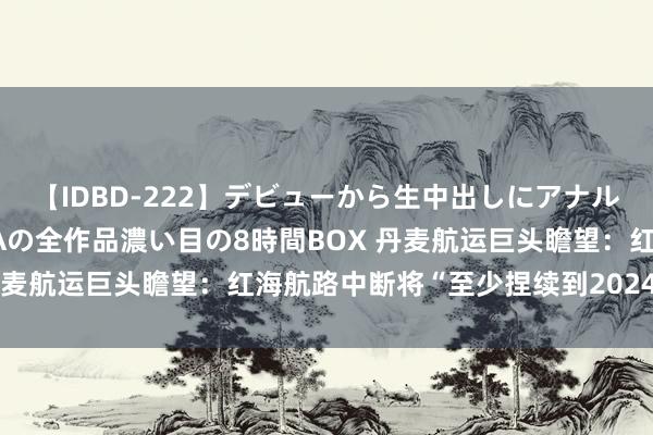 【IDBD-222】デビューから生中出しにアナルまで！最強の芸能人AYAの全作品濃い目の8時間BOX 丹麦航运巨头瞻望：红海航路中断将“至少捏续到2024年底”