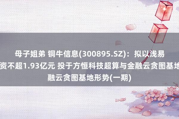 母子姐弟 铜牛信息(300895.SZ)：拟以浅易模式定增募资不超1.93亿元 投于方恒科技超算与金融云贪图基地形势(一期)