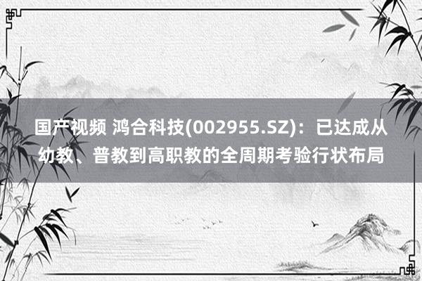 国产视频 鸿合科技(002955.SZ)：已达成从幼教、普教到高职教的全周期考验行状布局