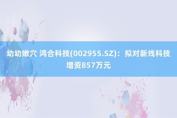 幼幼嫩穴 鸿合科技(002955.SZ)：拟对新线科技增资857万元