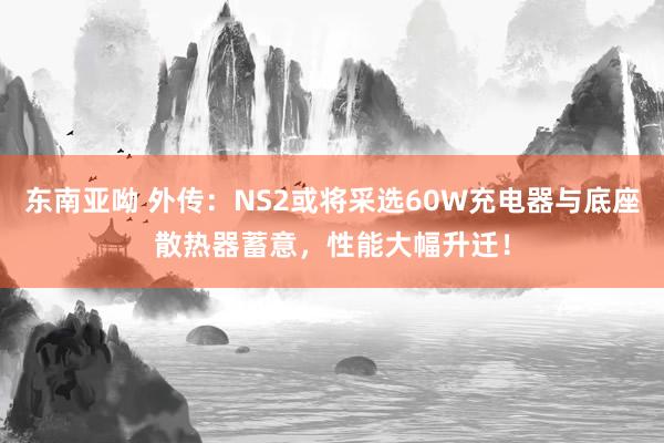 东南亚呦 外传：NS2或将采选60W充电器与底座散热器蓄意，性能大幅升迁！