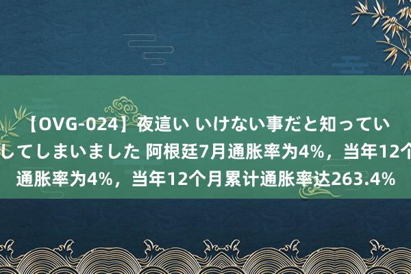 【OVG-024】夜這い いけない事だと知っていたけど生中出しまで許してしまいました 阿根廷7月通胀率为4%，当年12个月累计通胀率达263.4%