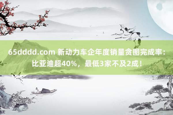 65dddd.com 新动力车企年度销量贪图完成率：比亚迪超40%，最低3家不及2成！