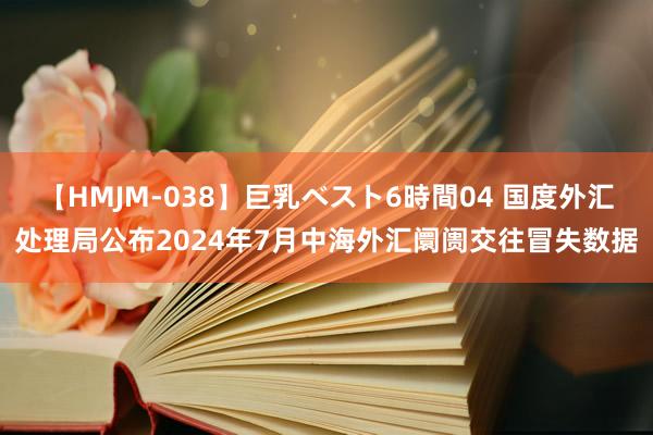 【HMJM-038】巨乳ベスト6時間04 国度外汇处理局公布2024年7月中海外汇阛阓交往冒失数据