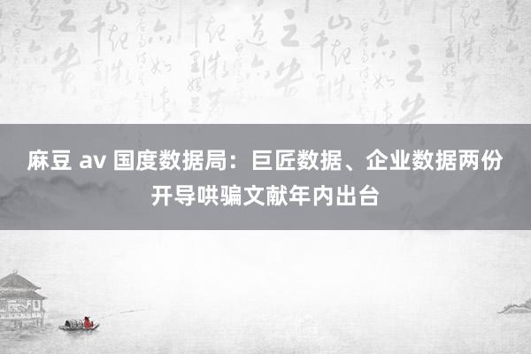 麻豆 av 国度数据局：巨匠数据、企业数据两份开导哄骗文献年内出台