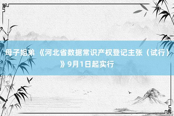 母子姐弟 《河北省数据常识产权登记主张（试行）》9月1日起实行