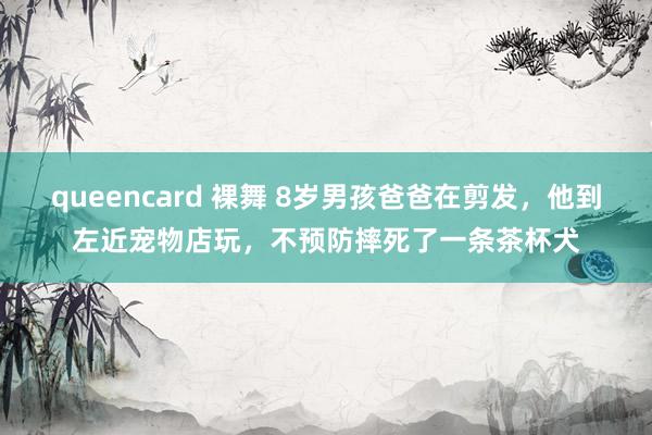 queencard 裸舞 8岁男孩爸爸在剪发，他到左近宠物店玩，不预防摔死了一条茶杯犬