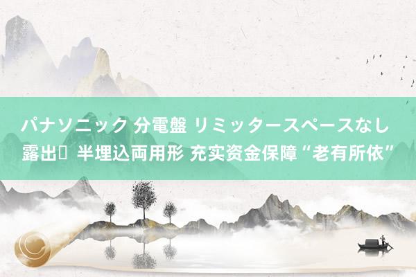 パナソニック 分電盤 リミッタースペースなし 露出・半埋込両用形 充实资金保障“老有所依”